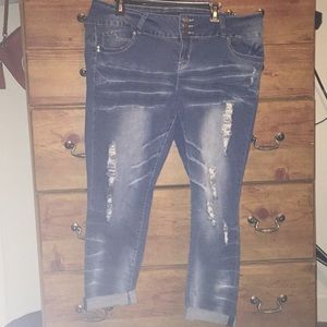 YMI plus size distressed jeans